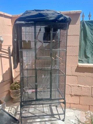 Jaula para pájaros grande