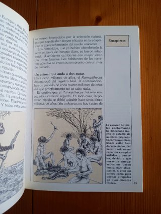 Libros Biblioteca Básica de Historia. Anaya
