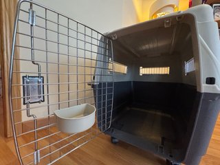 Transportín para perros para avión