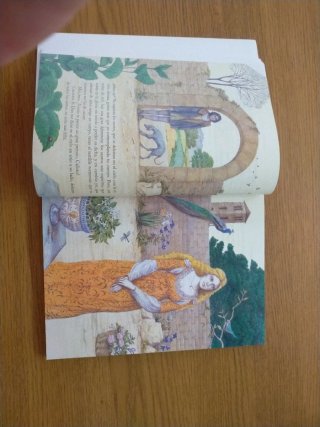 Libro la Celestina