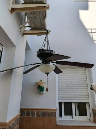 Ventilador de techo madera y cristal , con 5 aspas