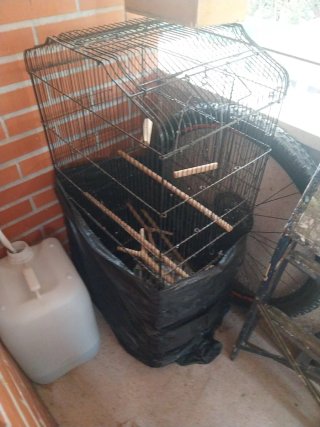 Jaula para pájaros (Agaporni, Ninfa, etc.)