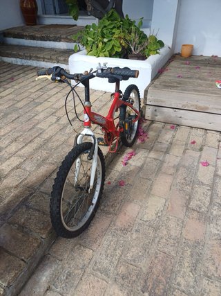 Bicicleta Infantil Plegable Roja