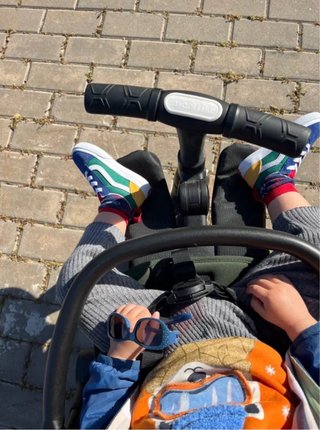 Carro Triciclo Evolutivo Smartrike Traveler