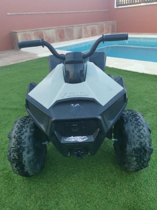 Quad Feber 12V