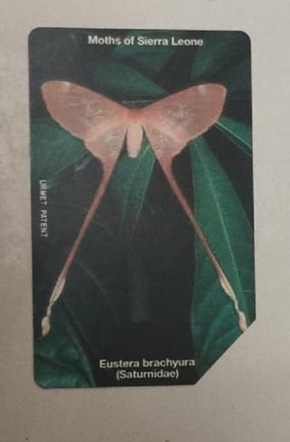 Scheda Telefonica Sierra Leone Vintage - Moths