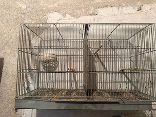 Jaulas para cría de pájaros