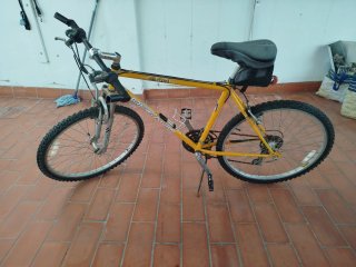 Bicicleta Amarilla Montaña
