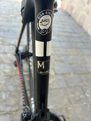 Bicicleta Giant TCR Advanced Pro Team