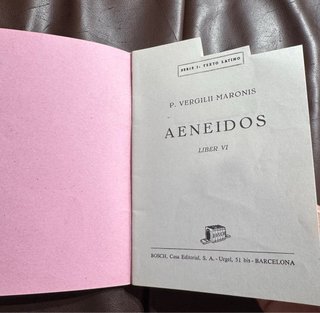 Aeneidos Liber VI