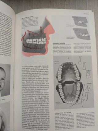 Enciclopédia Combi Visual Temática