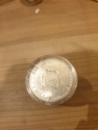 10 Monedas Koala Plata 2026 1 Oz