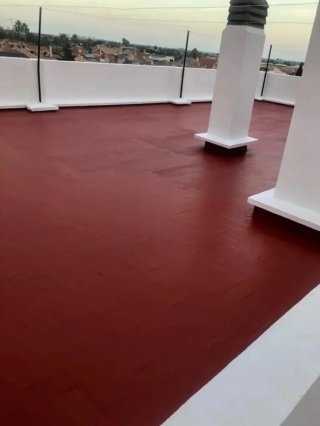 Pintor y impermeabilizaciones profesional