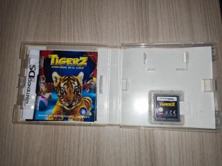 Lote Nintendo 2DS y DS con juegos