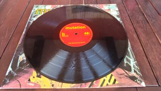 Vinilo Mutation Experimental
