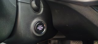 Skoda Kamiq Selection 1.0 TSI 115cv DSG