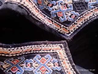 Zara Chaqueta Bordada Edición Limitada