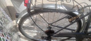 Bicicleta Paseo Mujer