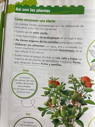 Ciencias de la Naturaleza 3 Primaria : Pieza a ...