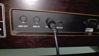 Teclado Ringway TG-8826