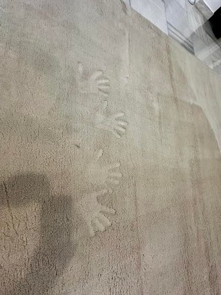 Alfombra Beige 190x290