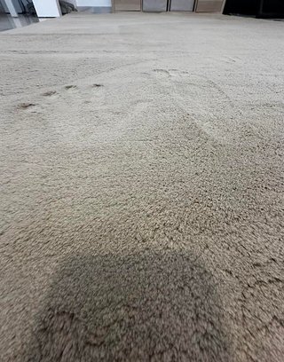 Alfombra Beige 190x290