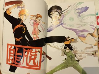 Libro de ilustraciones de Bleach 1 All colour b...