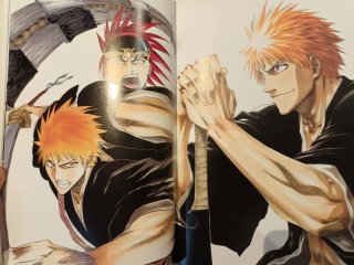 Libro de ilustraciones de Bleach 1 All colour b...