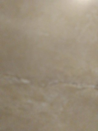 Se realizan desbroces y tala de madera