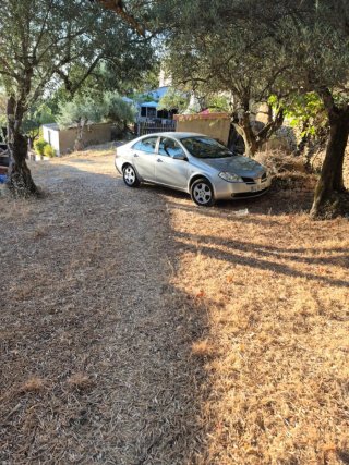 Nissan Primera 2004