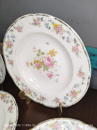 9 Antiguos Platos Hondos Porcelana SANTA CLARA
