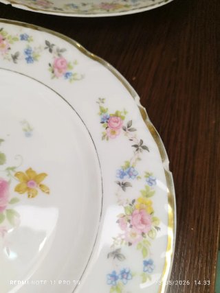 9 Antiguos Platos Hondos Porcelana SANTA CLARA