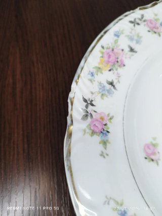9 Antiguos Platos Hondos Porcelana SANTA CLARA