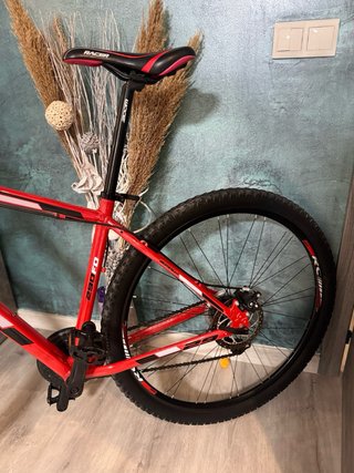 Bicicleta Racer 29’’ L