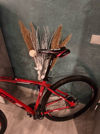 Bicicleta Racer 29’’ L