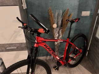 Bicicleta Racer 29’’ L