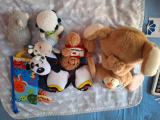 Peluche Oso y Libro Infantil