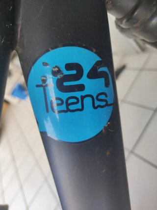 Bicicleta de montaña de 24 pulgadas.