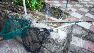 Lotes de señuelos de pesca caja y sacaderas