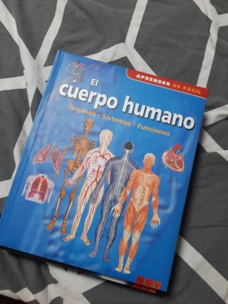 Lote de 3. El cuerpo humano. el universo. la tierr