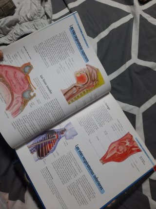 Lote de 3. El cuerpo humano. el universo. la tierr
