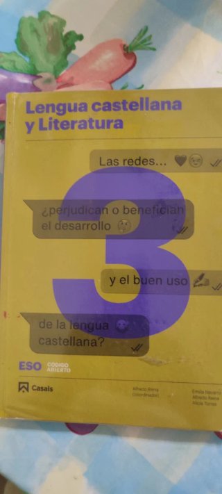 Lengua castellana y literatura