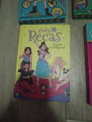 LOTE LIBROS CLODETT LADY PECAS