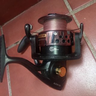 Caña de pescar carpfishing y carrete