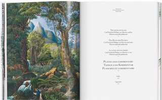 The Book of Palms. El libro de las Palmeras
