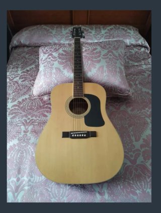 Washburn Acústica Edición Especial