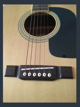 Washburn Acústica Edición Especial