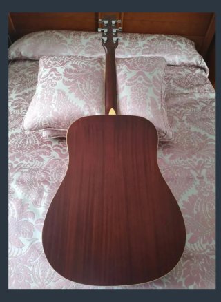 Washburn Acústica Edición Especial
