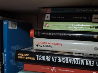 Lote 17 libros variados. Más de 25 años