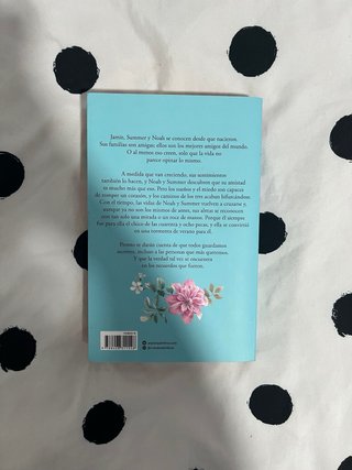 Libro "Los Recuerdos que fuimos" Cantos pintados